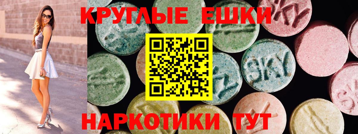 Кушва  Экстази Philipp Plein  Экстази  Вход с VPN 