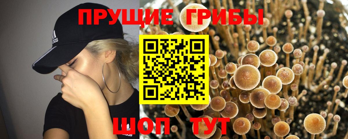 Псилоцибиновые грибы GOLDEN TEACHER  Вход с VPN  Кушва 