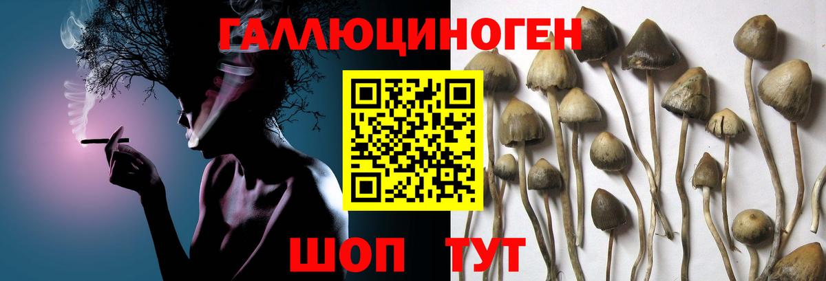 Галлюциногенные грибы Magic Shrooms Кушва